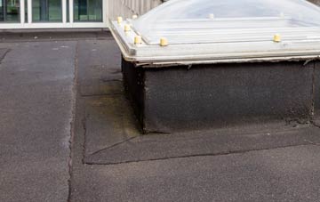 disadvantages of South Corriegills flat roofs